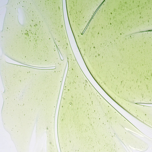 Herbalism Shampoo