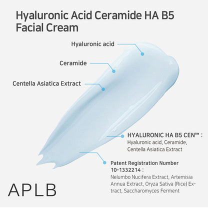 Hyaluronic Acid Ceramide Ha B5 Facial Cream