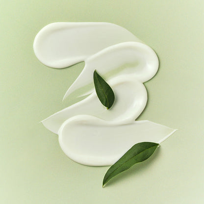 Black Bamboo Top-to-Toe SPF Veil