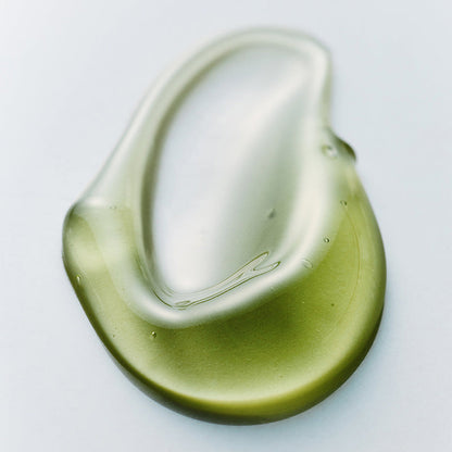 Phyto Brew Matcha Ampoule