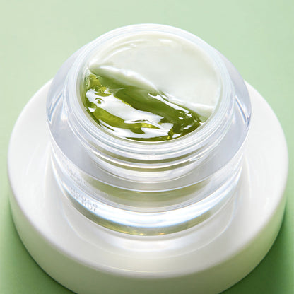 Phyto Brew Matcha Dual Cream and Gel