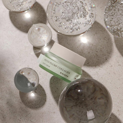 Phyto Plump Collagen Night Cream