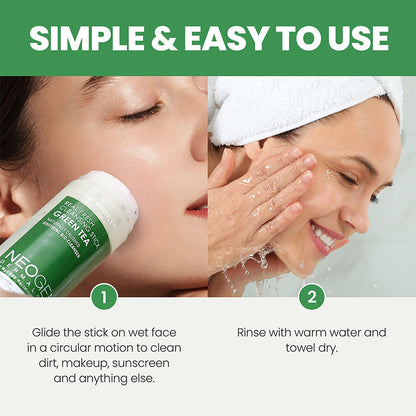 Dermalogy Real Fresh Cleansing Stick Green Tea