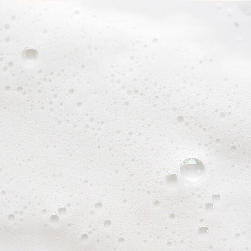Black Sugar Perfect Enzyme Powder Wash