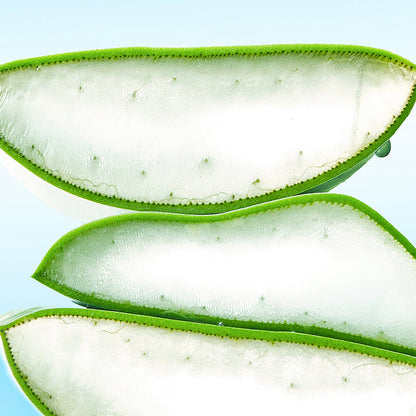 Blue Oasis Aloe Hydrating Serum