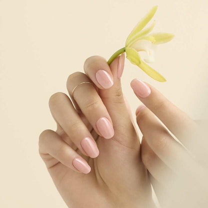 N Spring 001